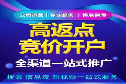 案例解析：SEM投放助力电商增长